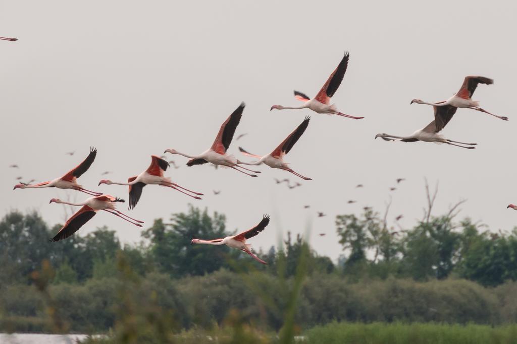 Valgrande Bibione Casoneヴィラ エクステリア 写真