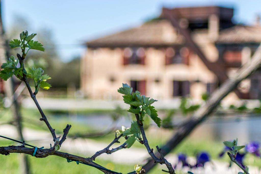 Valgrande Bibione Casoneヴィラ エクステリア 写真